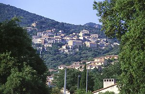 Bormes-les-Mimosas