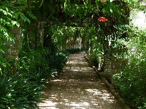 Im Botanischen Garten Hanbury