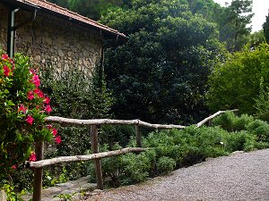 Botanischer Garten Hanbury