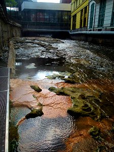 Ablagerungen im Fluss Tepla durch das mineralhaltige Thermalwasser