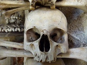 Menschlicher Schädel in Kutna Hora