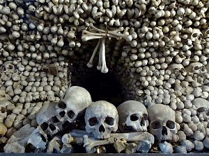 Schädel und andere menschliche Knochen