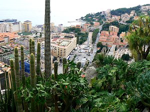 Le Jardin Exotique de Monaco