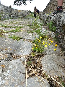 Antike gepflasterte Straßen in Paestum