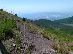 Aussicht vom Hang des Vesuv Richtung Neapel