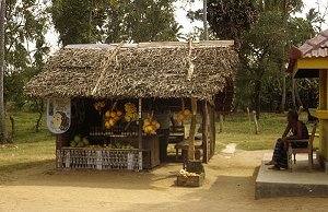 Hndler bei Ratnapura (Sdindien)