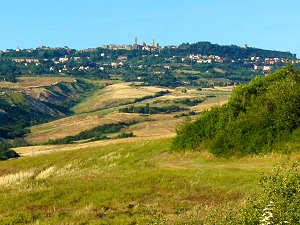 Volterra